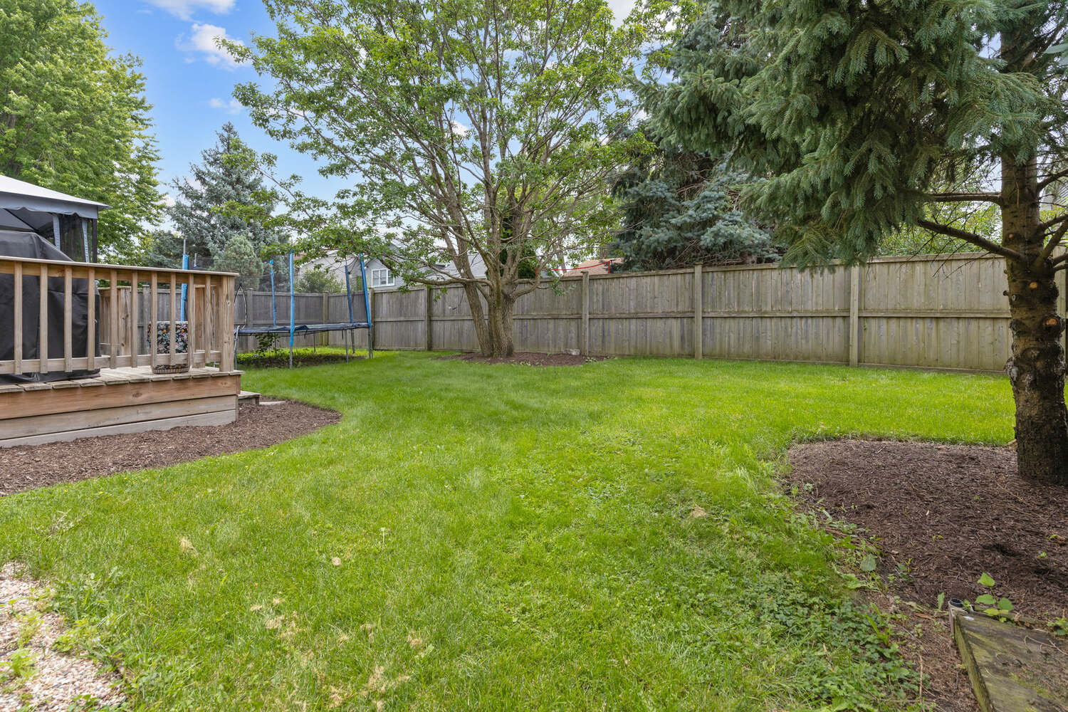 Fenced backyard